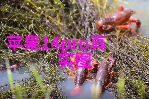 高效混合不锈钢反应釜提升实验室工作效率