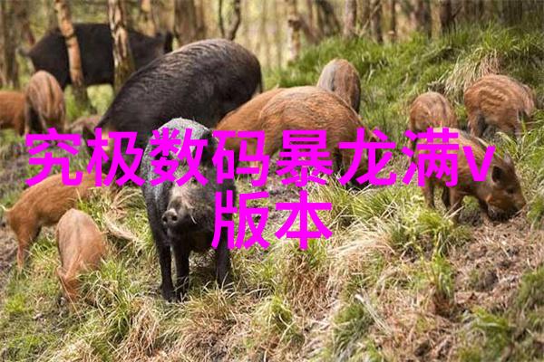 油水分离餐厅的味蕾守护者