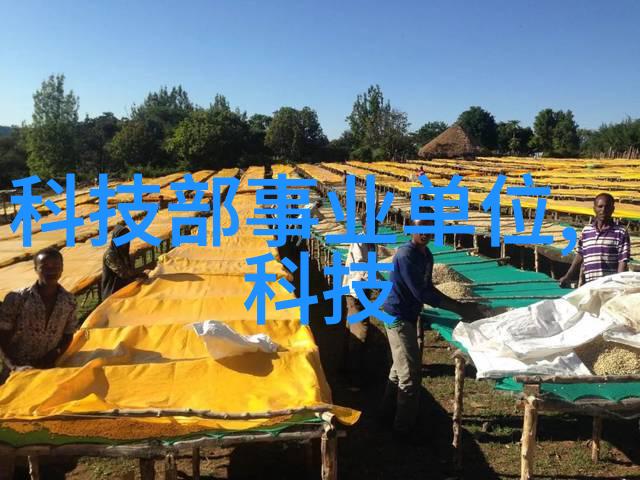 教室的孤独空座教学楼里的哀伤与期待
