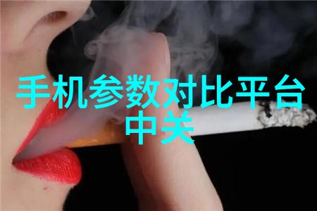 丝网波纹填料装填艺术精细工艺与材料科学的完美结合
