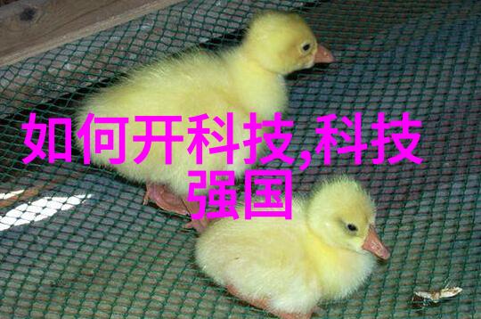 房间装修设计图的艺术探索