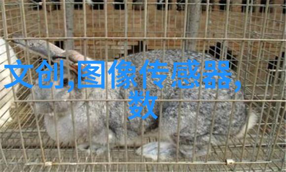 中国制药装备行业协会推动行业发展与创新进步