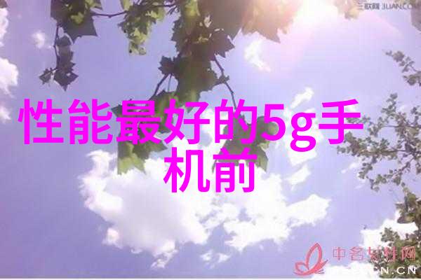 兔宝宝可爱的家园寵物