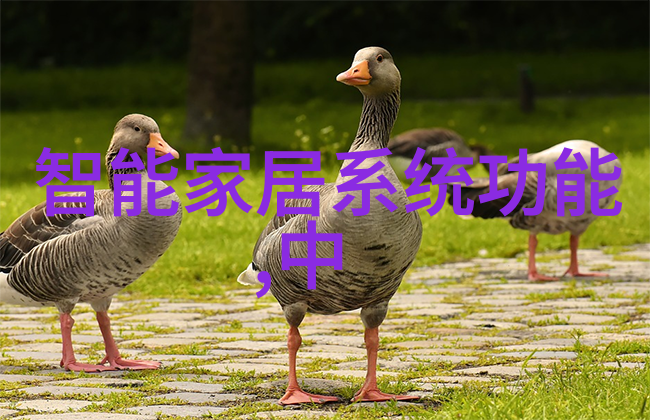 逆袭甜婚记快穿之女配狠勾人跨越千界成就梦想