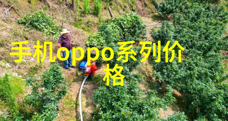 主题-自富仙源探索财富与修身的精髓