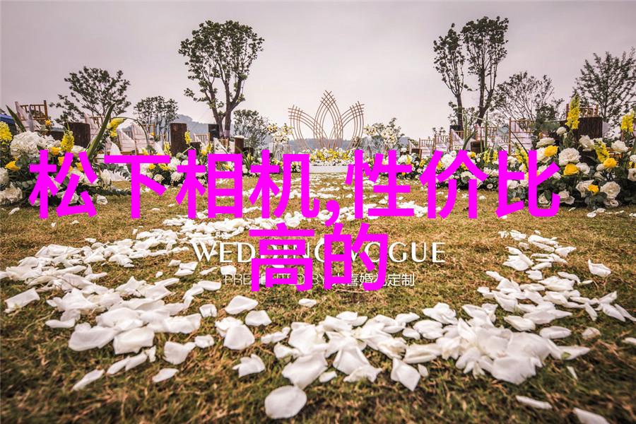 新兴技术如何提升卫生级隔膜阀的性能和可靠性