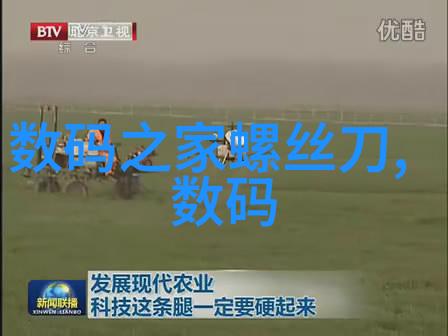 燃烧的词汇导火索国语与文化爆炸