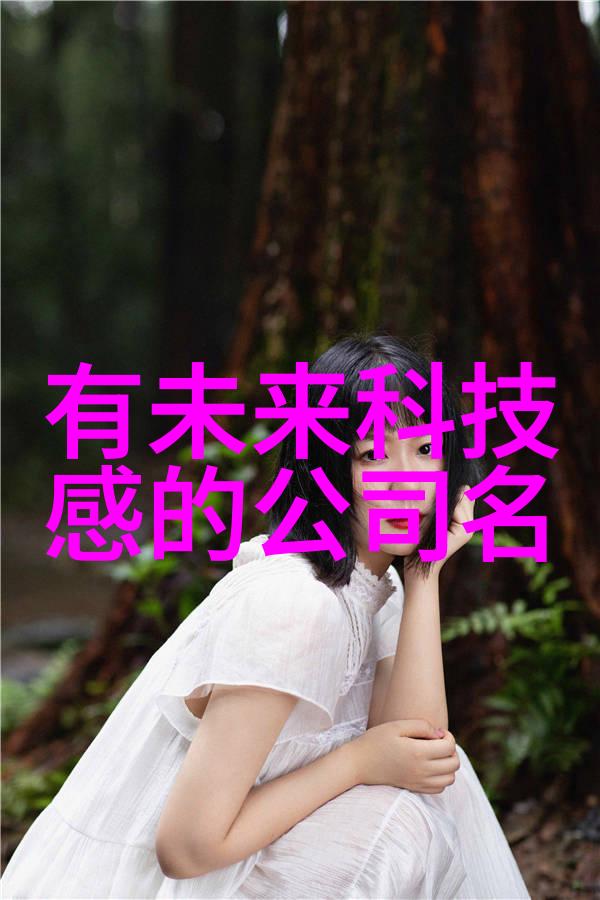 税洁系统高效透明的税收管理平台