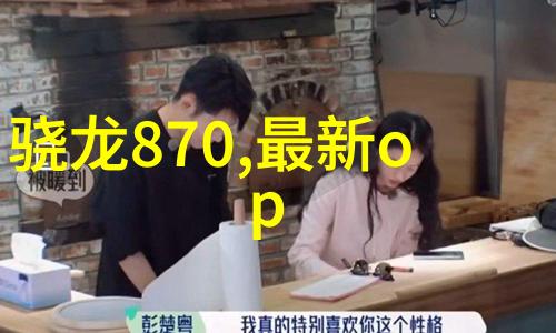 俊男坊txt新浪-少年梦想俊男坊txt新浪社区的故事