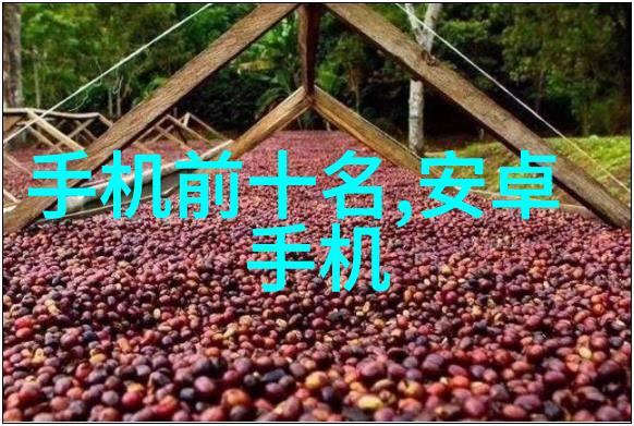 深入解析布袋除尘器内部结构图清晰剖析关键部件与工作原理