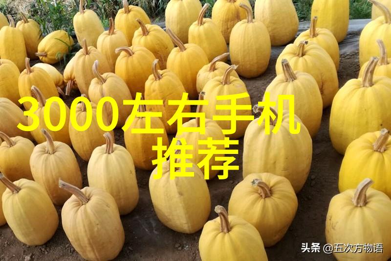 化工压力仪器和谐共震的旋律