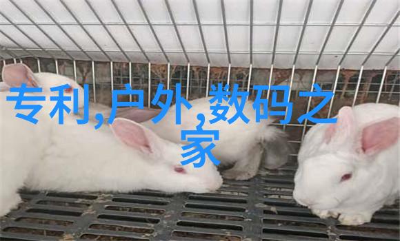 中国专利号查询网入口我来告诉你如何一路走到成功的门前