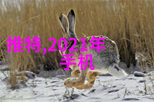 机械之心滚筒风暴的守护者