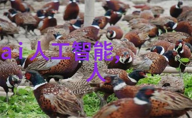 调光技术对小米13电池寿命有何影响