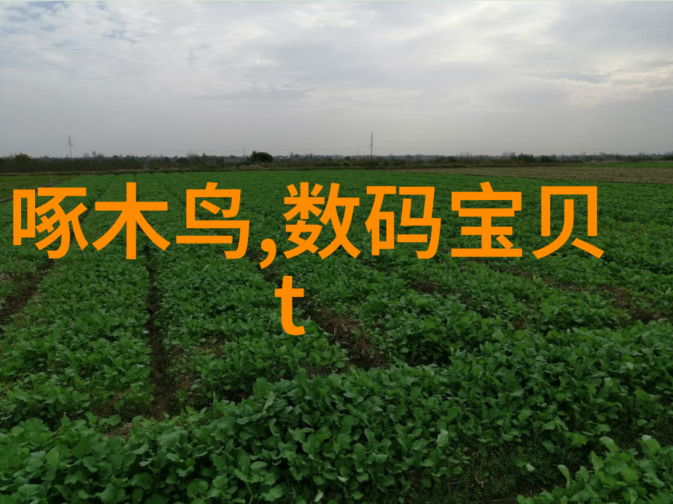旋振筛技术在矿物分离中的应用与发展