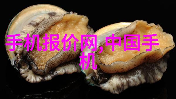 家庭美学与经济责任信用家装修的新趋势