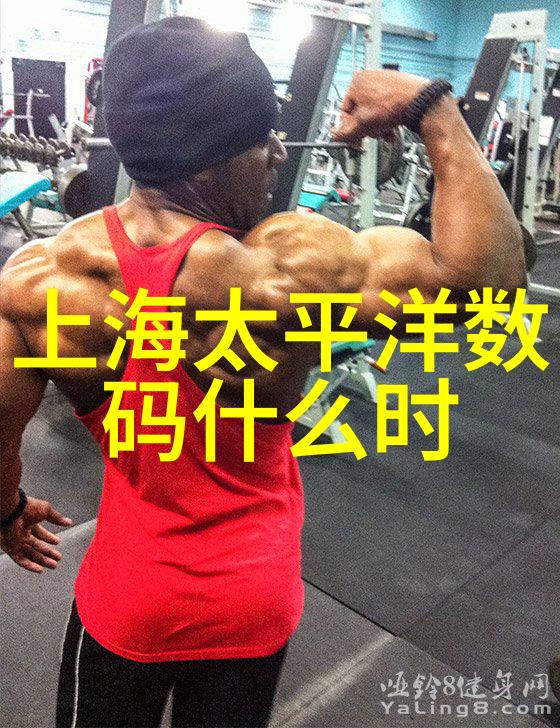 清洁生活的艺术家庭保洁技巧与心得