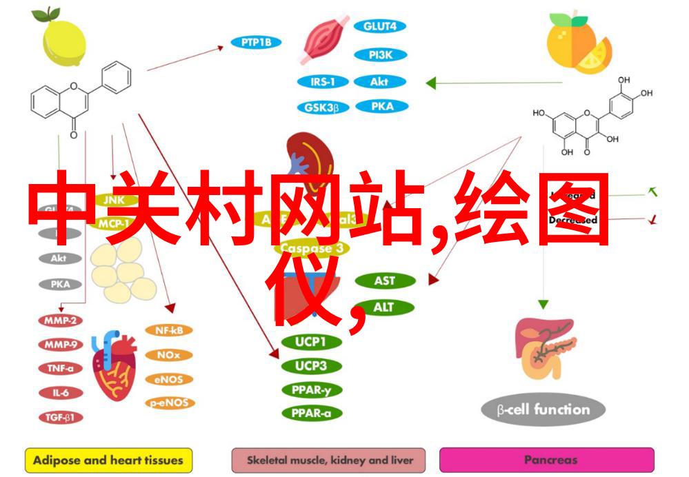 中国化工行情网行业动态与投资策略的综合分析平台