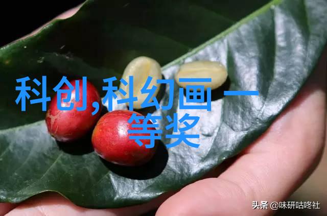 我室内消毒喷雾用什么消毒液好