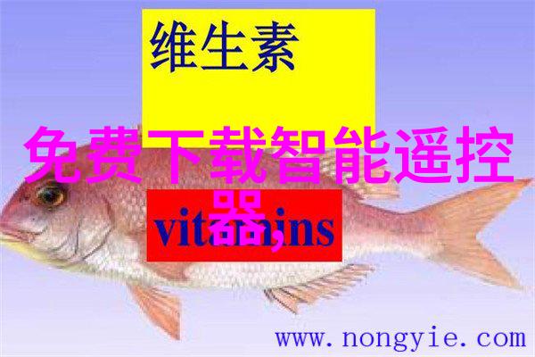 北迈汽配网调教汽车的奇幻之旅