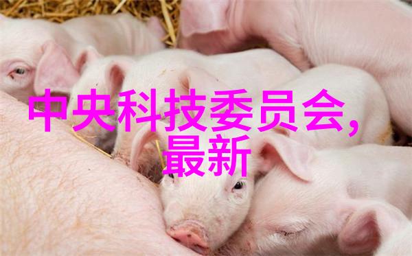 高效的关键词查询解锁信息时代的搜索技巧