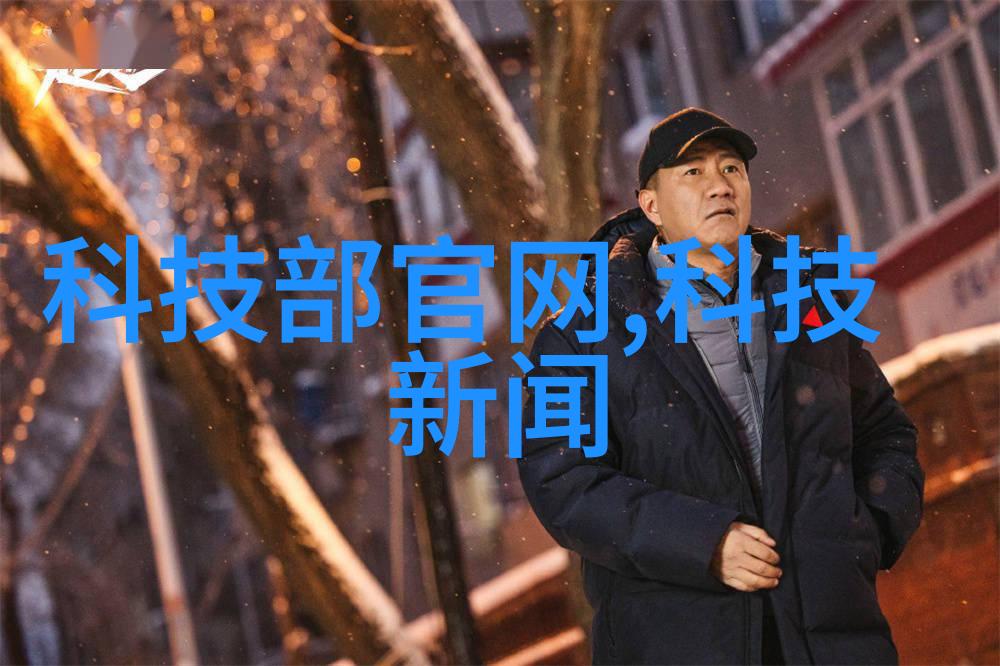 新房装修指南从规划到完工的全过程