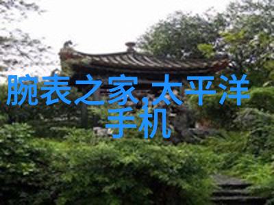 国产光刻革命中国自主光刻机的崛起与未来