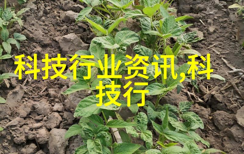 学长在地铁里的奇遇一场意外的友谊诞生
