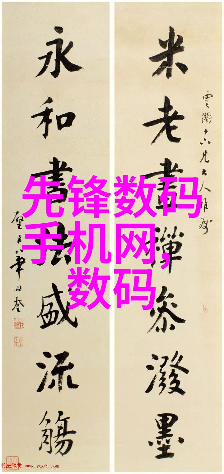 不锈钢输送机我的工作伙伴