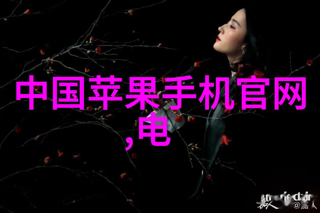 北京测试空间测评技术有限公司引领科技创新与质量保障的先行者