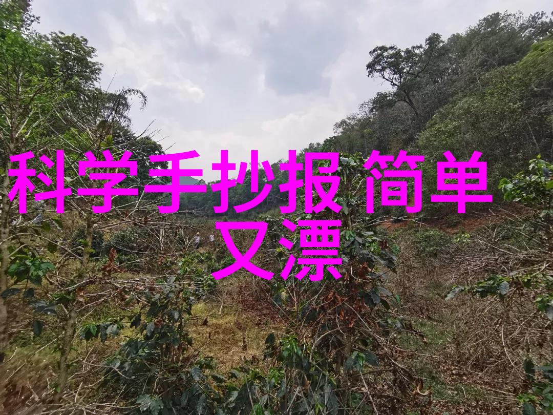 铸铁排水管传统与实用并存