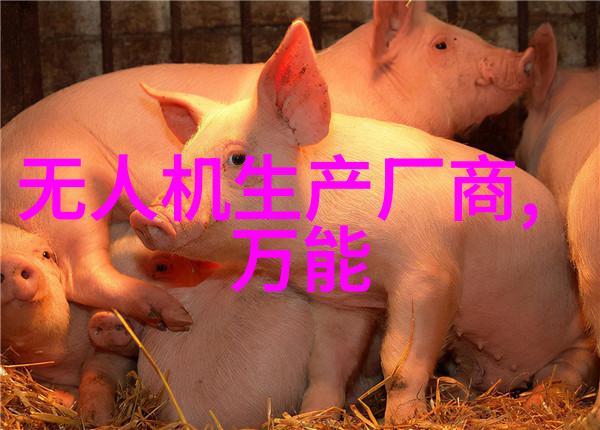 高压蒸汽灭菌的精髓安全操作守则与最佳实践