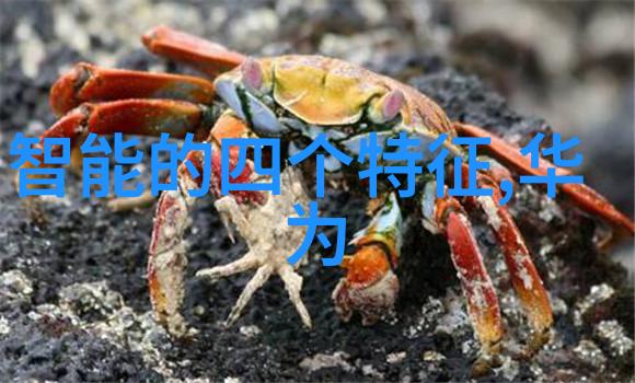 打造舒适办公环境Zhengzhou 办公室装饰设计建议