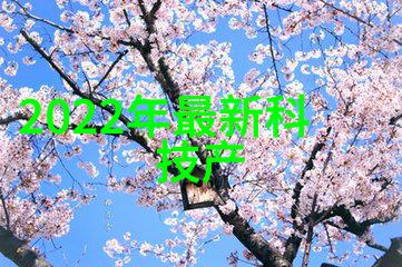 数码之家 - 增压花洒智能化生活新篇章