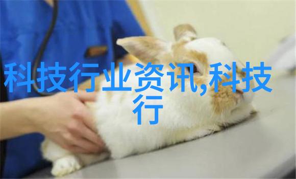 仙剑奇侠传三紫萱-紫萱之旅揭秘天界的秘密花园