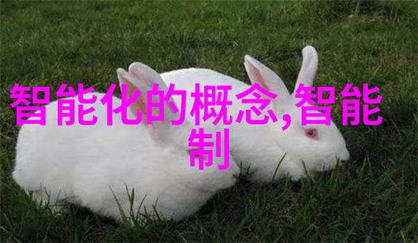 楚留香桃花传奇江湖风云与情深缘分