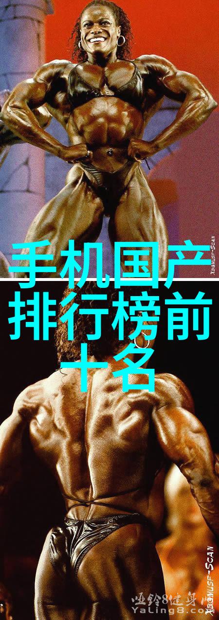 波纹填料技术标准综述确保材料质量与应用安全