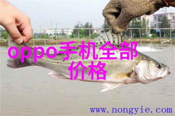 清晰图解立式分离器的巧妙构造