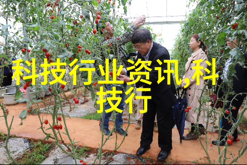 碟片分离机磁性连接与机械分割的高科技平衡器
