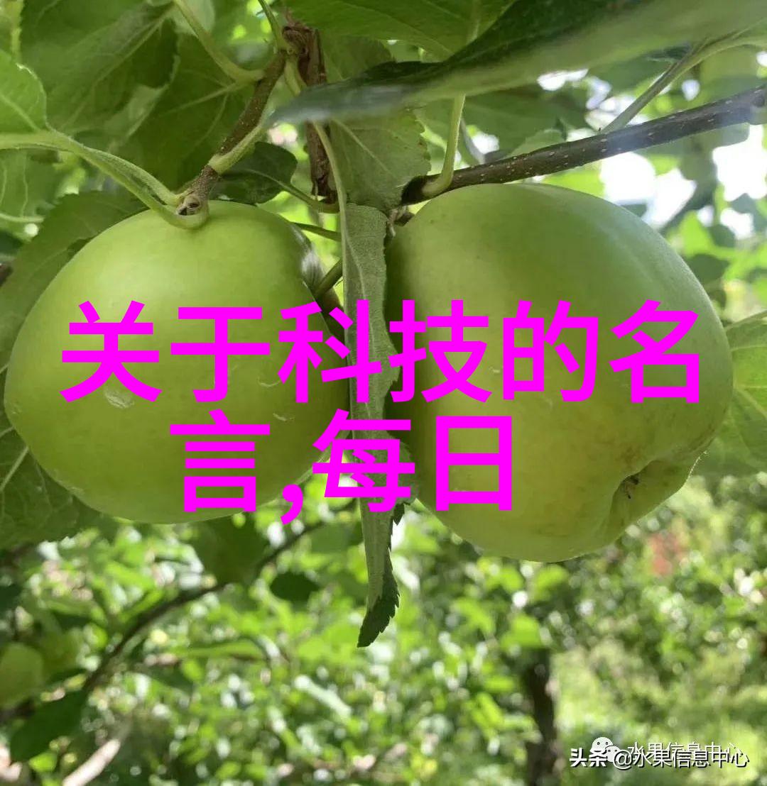 苹果iPhone 14 Pro超前科技智能手机