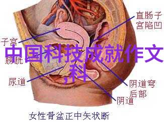 水净宝揭秘洗涤废水处理的未来科技