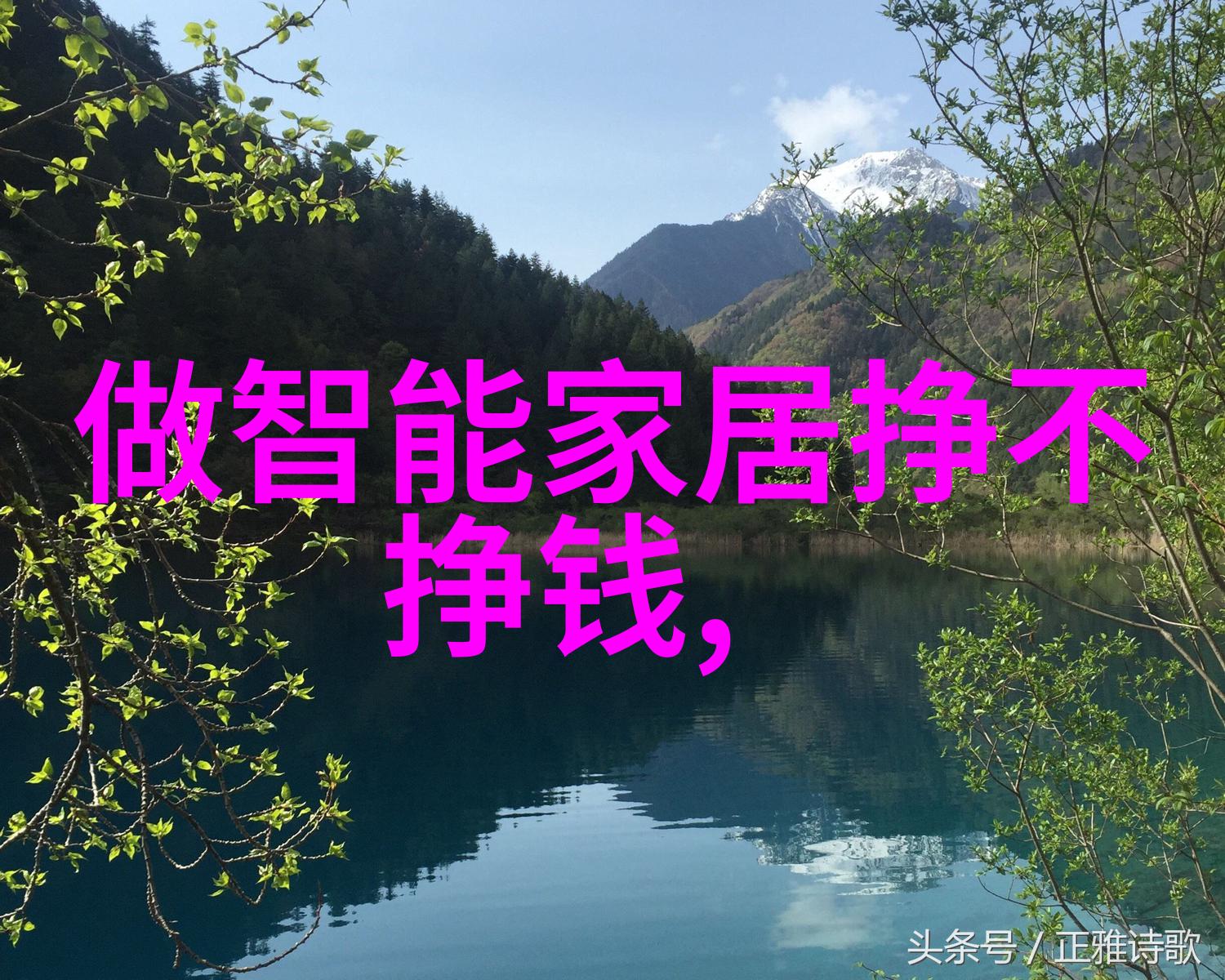 王子遇上王皇家相遇的奇迹