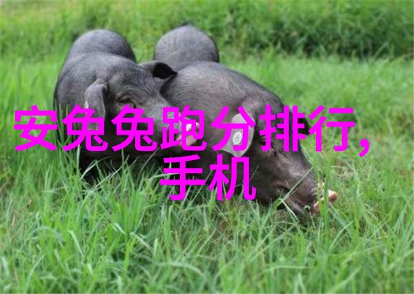 智能生活新品发布会智能家居设备的未来趋势