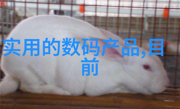 粉碎机设备破碎梦想的机械巨兽