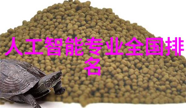室内装饰美学基础知识培训提升空间布局与风格搭配能力