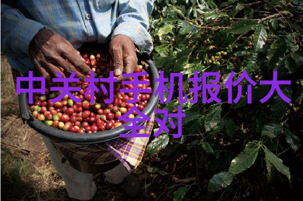 市场动荡背后全球化的双刃剑与未来投资策略