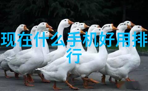 环保与效率并重未来制药用纯化水设备发展趋势