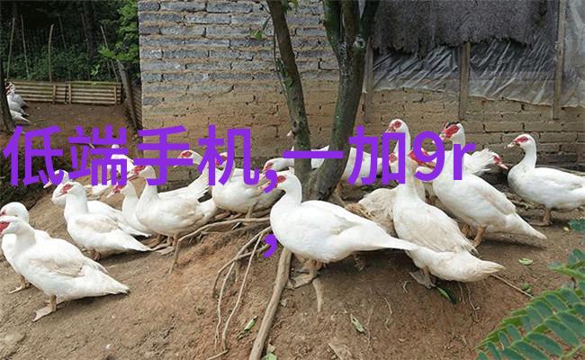恶性依赖治疗专注于药物依赖症的有效治疗方法