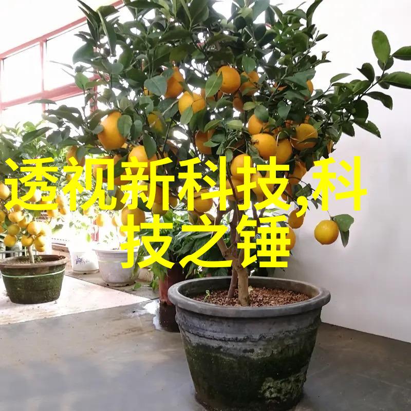 药材碎心机解密中药精华的诞生秘密