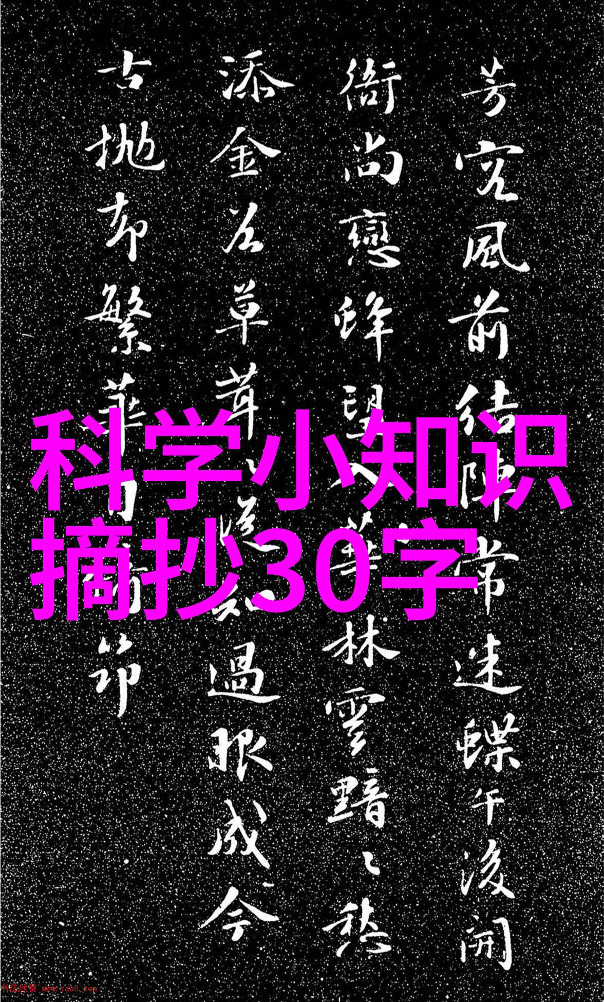 电蒸汽发生器蒸箱在烹饪中有什么独特之处